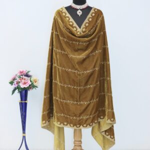 Embroidered Velvet Dupatta in Beige