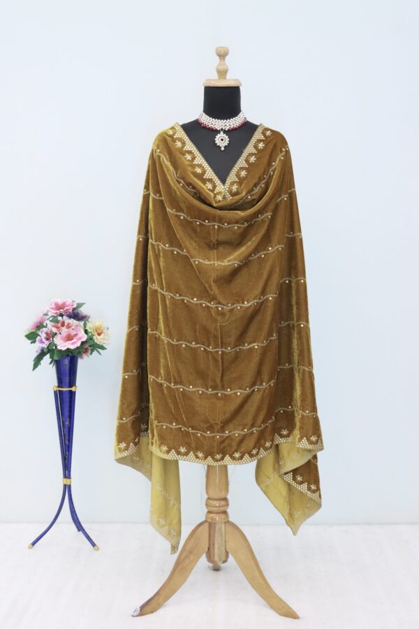 Embroidered Velvet Dupatta in Beige
