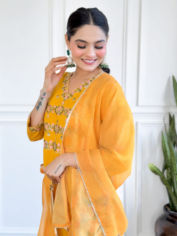 HETVI Women Embroidered CHANDERI & TEBBY NAYLON PLAIN DUPAATA SET - Image 4